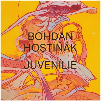 Bohdan Hostiňák: Juvenile